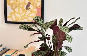 Moderne Altstadt Apartments - Marktplatznähe- ruhige zentrale Lage - Natur&Kultur - Foto 8