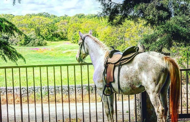 Masseria Paretano - Foto 15