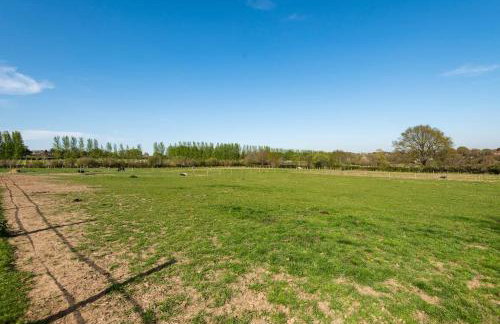 Secret & Secluded Sedlescombe - Foto 19