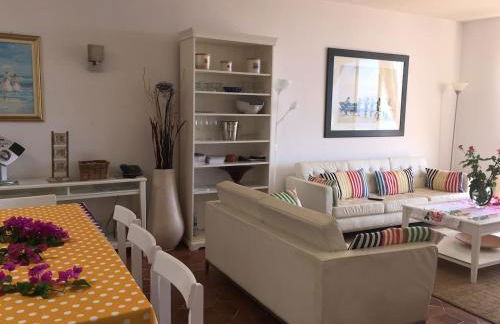 marazul del sur - Foto 24