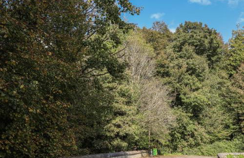 Melin y Coed - Foto 64