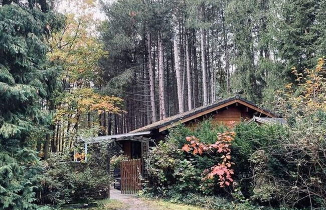 Peaceful Chalet Retreat - Foto 22