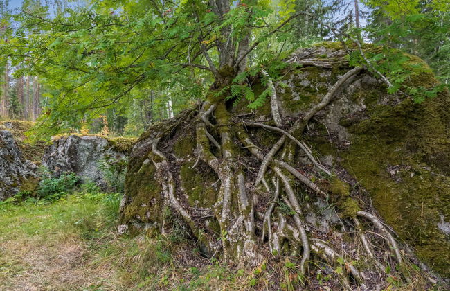 Hiidenlinna - Foto 37