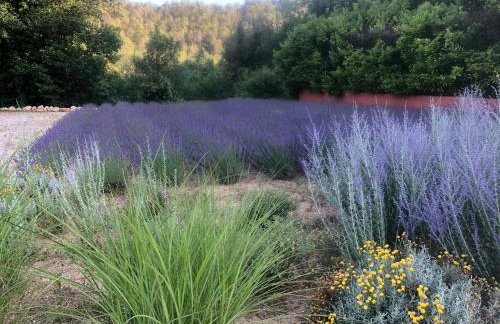 Les Mazets de la Cascade - Foto 47
