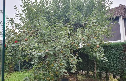 Ruhige 80 m2 Duplexwohnung mit Garten, 2 Bädern und Parkplatz nahe Innenstadt - Photo 4