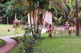 Chalés na Serra da Graciosa - Chácara Lucinda - 12km de Morretes - Photo 15