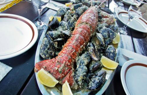 Robinson Merlot - Foto 45