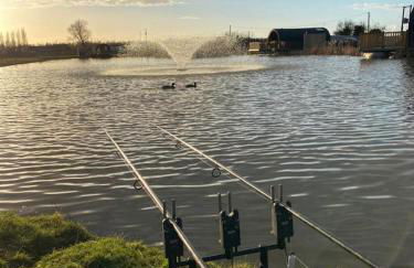 The Firs Country Park - Foto 28