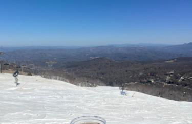 Beech Mountain Swiss-style Chalet - Foto 29