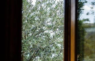 La Torretta Ticciano Vico Equense - Foto 9