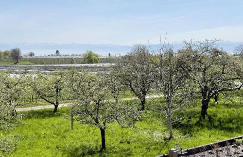 Ferienwohnung Plocher - Foto 25