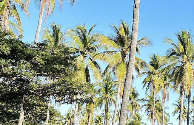 Paradise Bay - Foto 40