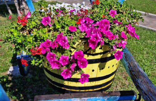 Apartments Villa Venera - Photo 33