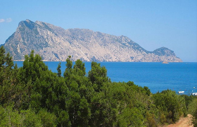 Apartment in Monte Petrosu Near San Teodoro - Foto 21