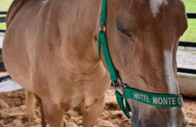 Flat Hotel Fazenda Monte Castelo Gravatá Bezerros - Foto 31