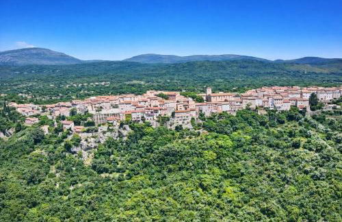 Gîte Le Figuier de Saint Ce Jardinet Terrasse Vue - Foto 22