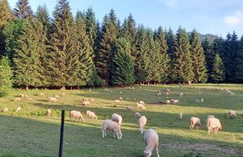 Prigorka, a fairytale house - Foto 52