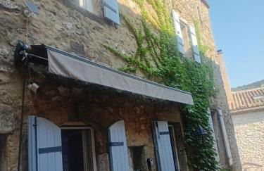 Grande maison en pierre au coeur du village provençal du XIe siecle 10 personnes - Foto 5