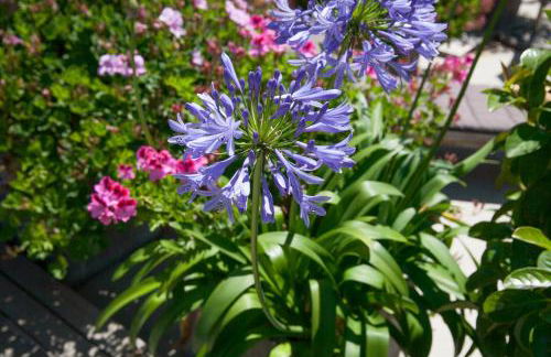 Tendency Apartments 7 - Photo 16