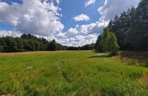 Masuria Warsaw - dom na wyłączność - w lesie i przy rzece - 15 min od Warszawy - Foto 46