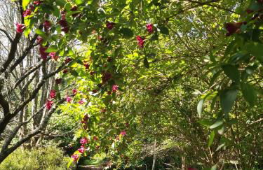 Domaine de Kerstrat - Foto 58