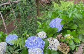 Chácara Recanto da Paz - Photo 9