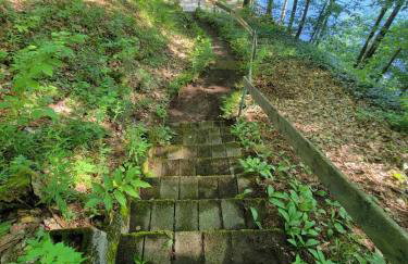 Camp Lake Bear - Foto 74