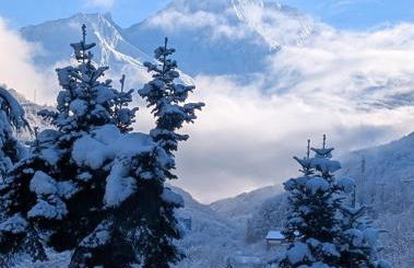 Clos Bois Joli - Foto 3