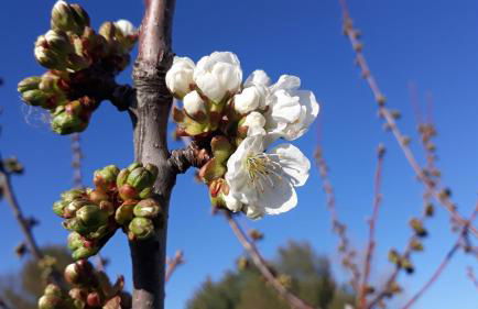 Cabañas Imagina - Foto 13