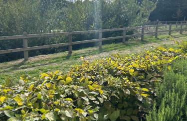 Beautiful 2 bedroom flat - Foto 1