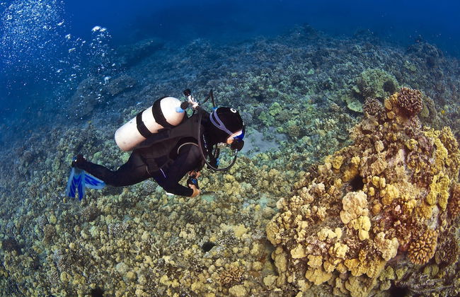 Kanai A Nalu 211 in Wailuku - Foto 47