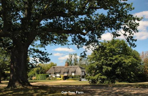 The White Barn near Cambridge - Foto 39