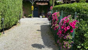 El Rancho Criollo Le Taillis - Foto 3