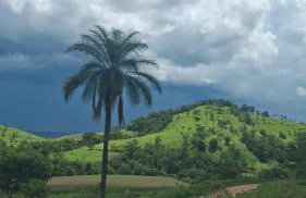 Casa da Alegria! Serra da Canastra! - Foto 18