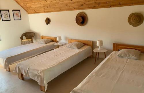 Dom Mossa - Photo 16