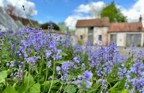 Salisbury Apartments - 2 bedrooms, 2 bathrooms - Foto 18