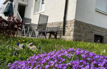 FeWo Pelkmann Apartment 1 - Die Grüne Oase in Weikersheim - Foto 28