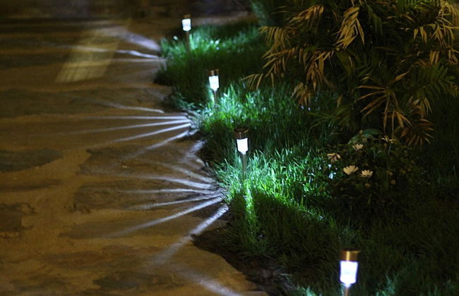 Casa Rural el Rincón de Monfragüe - Foto 7