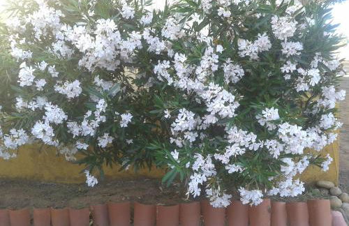 Casa Rural la Vallejera - Foto 96