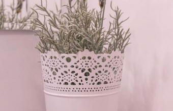 Ferienwohnung 3 Am Petersberg - Photo 17