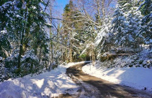 Casa Dante - Foto 29