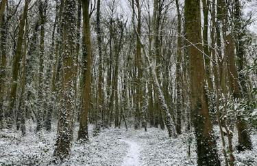 The Coach House at Wenvoe Manor, Cardiff - Photo 63