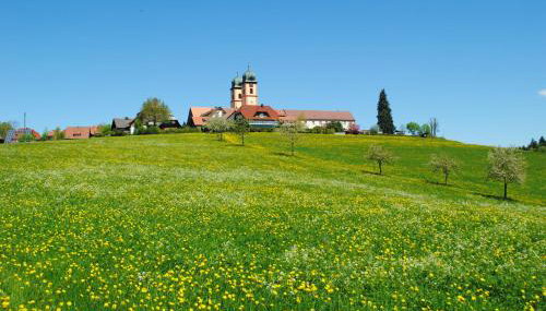 Landhaus-Apartment Feldbergblick - Foto 5