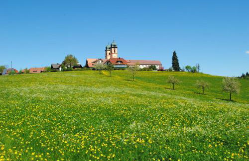 Landhaus-Apartment Feldbergblick - Foto 7