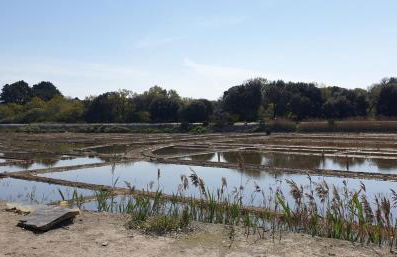 AMARRÉ Gîte Bambou T2 Chambre indépendante - Foto 23