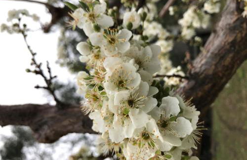 La Casa del Maestro Attico - Photo 59