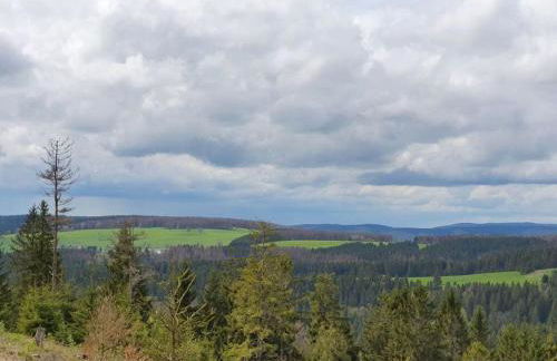 Terraced house Amann Comfortable holiday residence - Foto 28