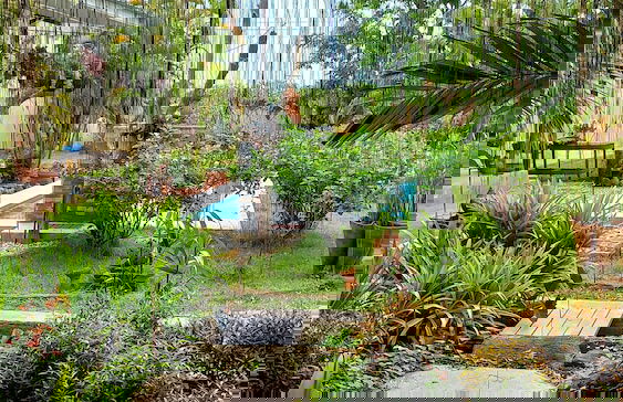 Flora Land Resort Chiang Mai - Foto 6