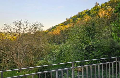 Little Rhine View Château - EG Apartment - Foto 34