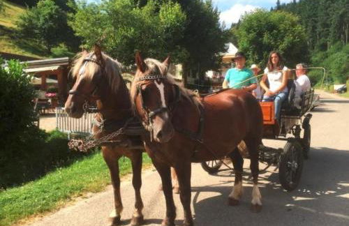 Ferienwohnungen Maierhof Oberried - Foto 70